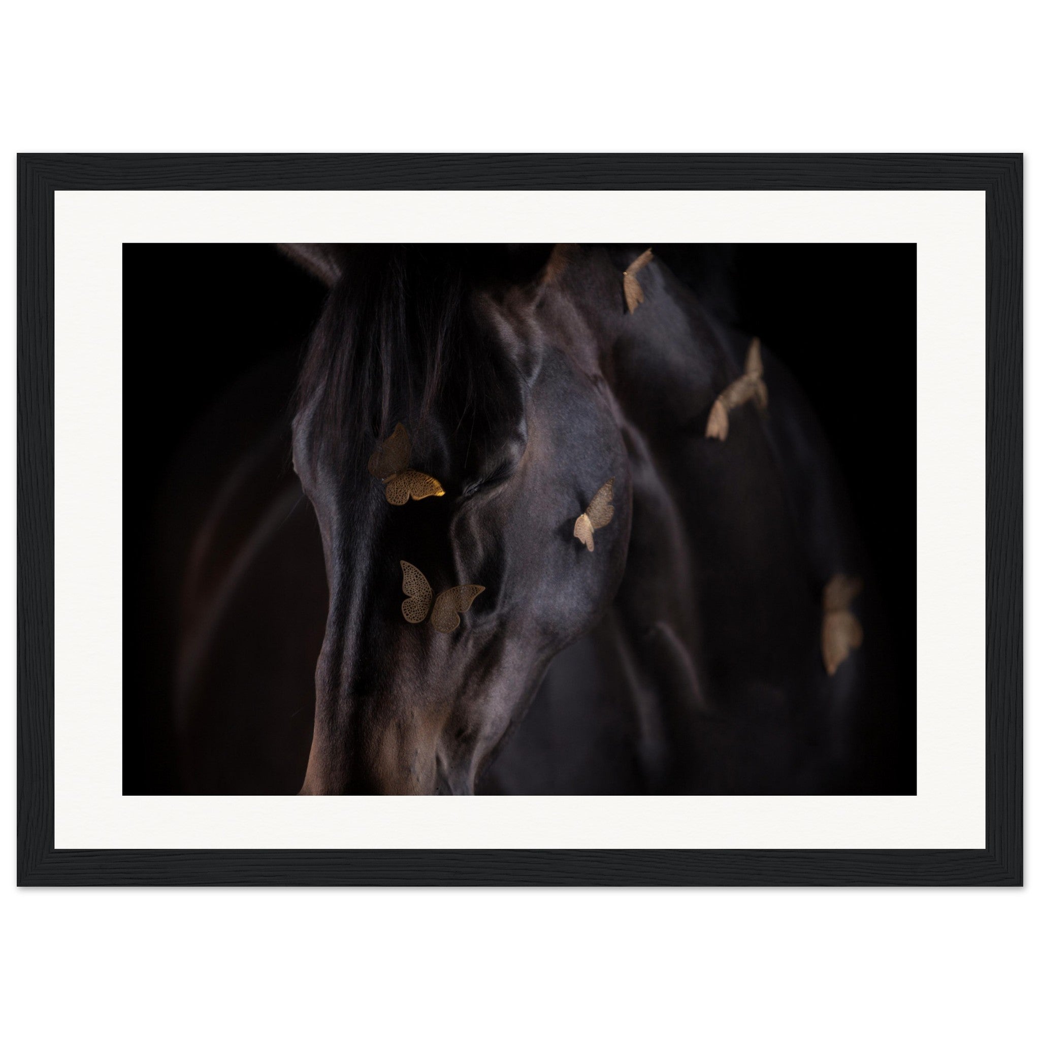 81c4a017-6d2e-4e98-a7ad-3d64811d6463