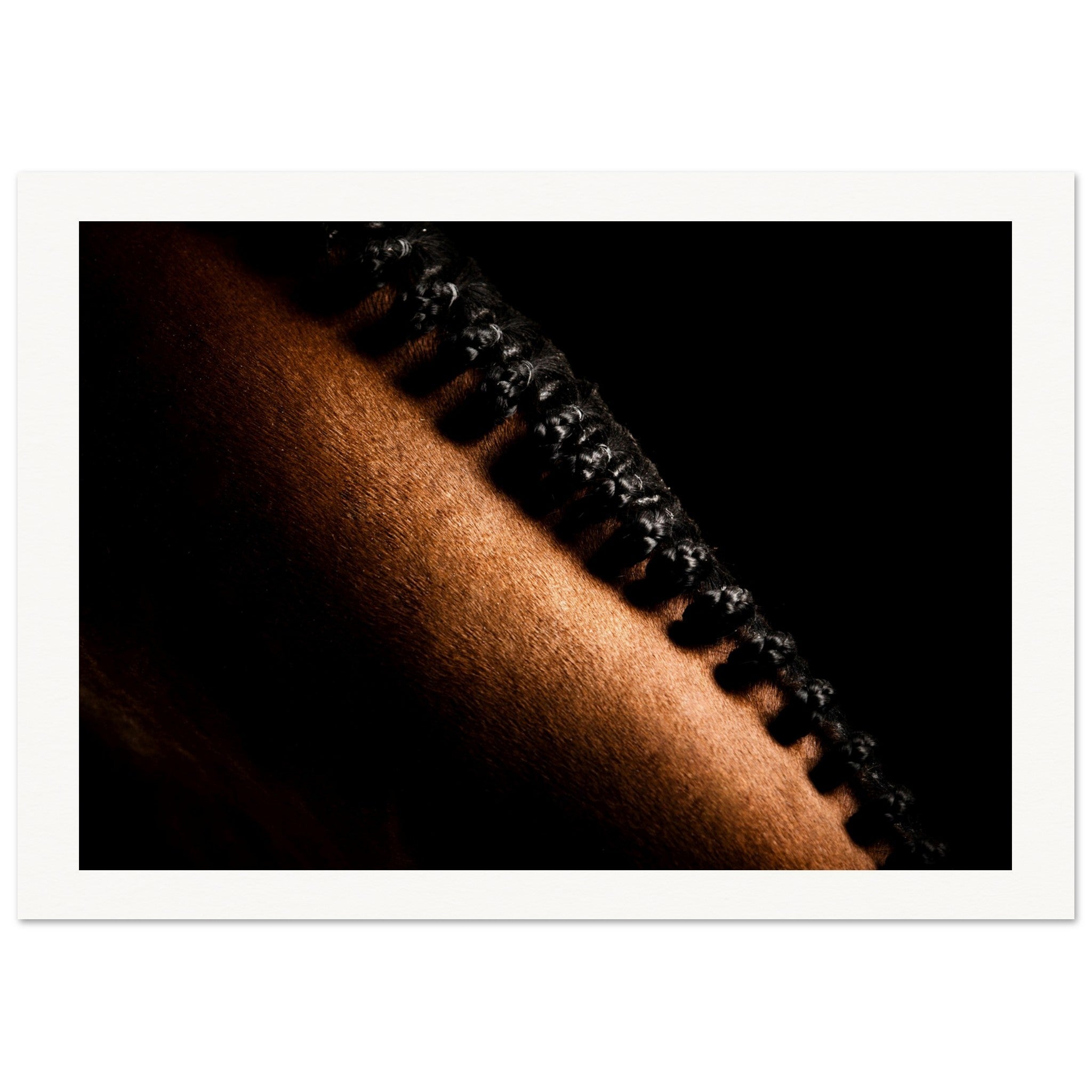 81eda72e-770e-429c-b35e-0d2822bae985