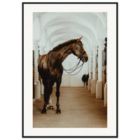 8202633c-a523-480c-b458-bc5ec9e67ad2