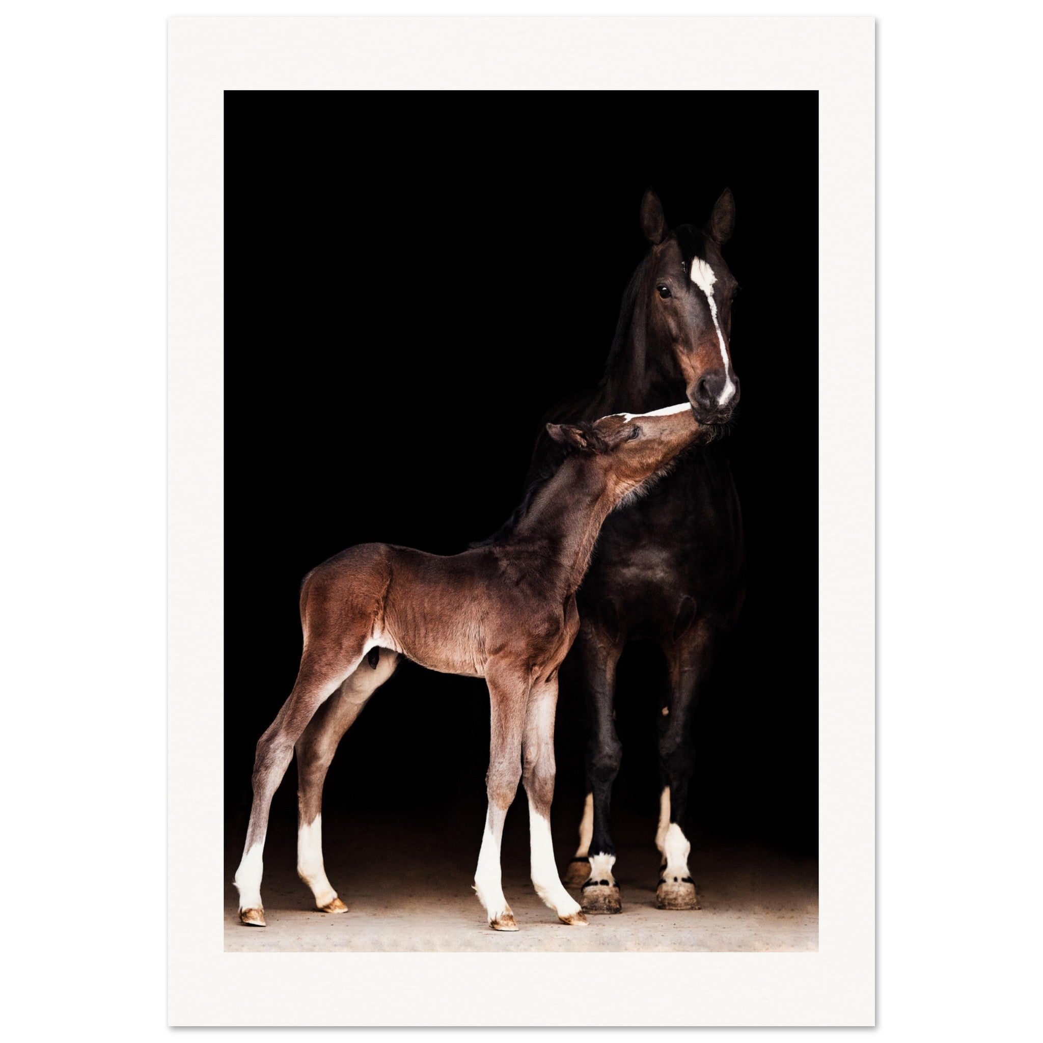 821f07fe-328a-45f3-beb0-35d5bf220753