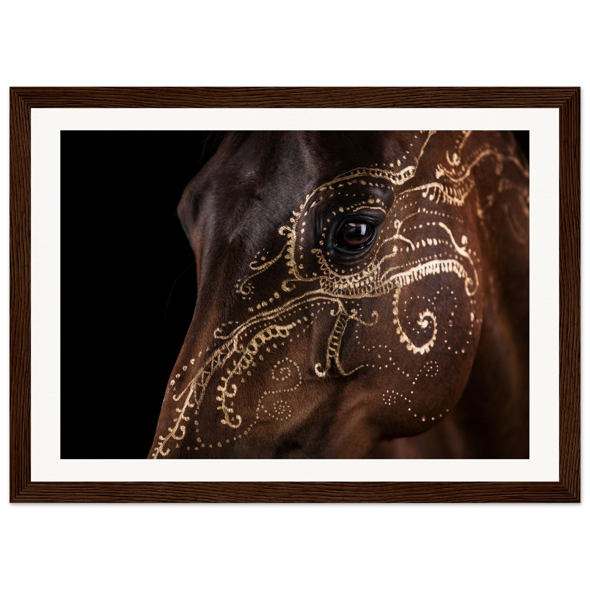 82aeb1ba-52eb-415d-9638-8c4ee0fa8548