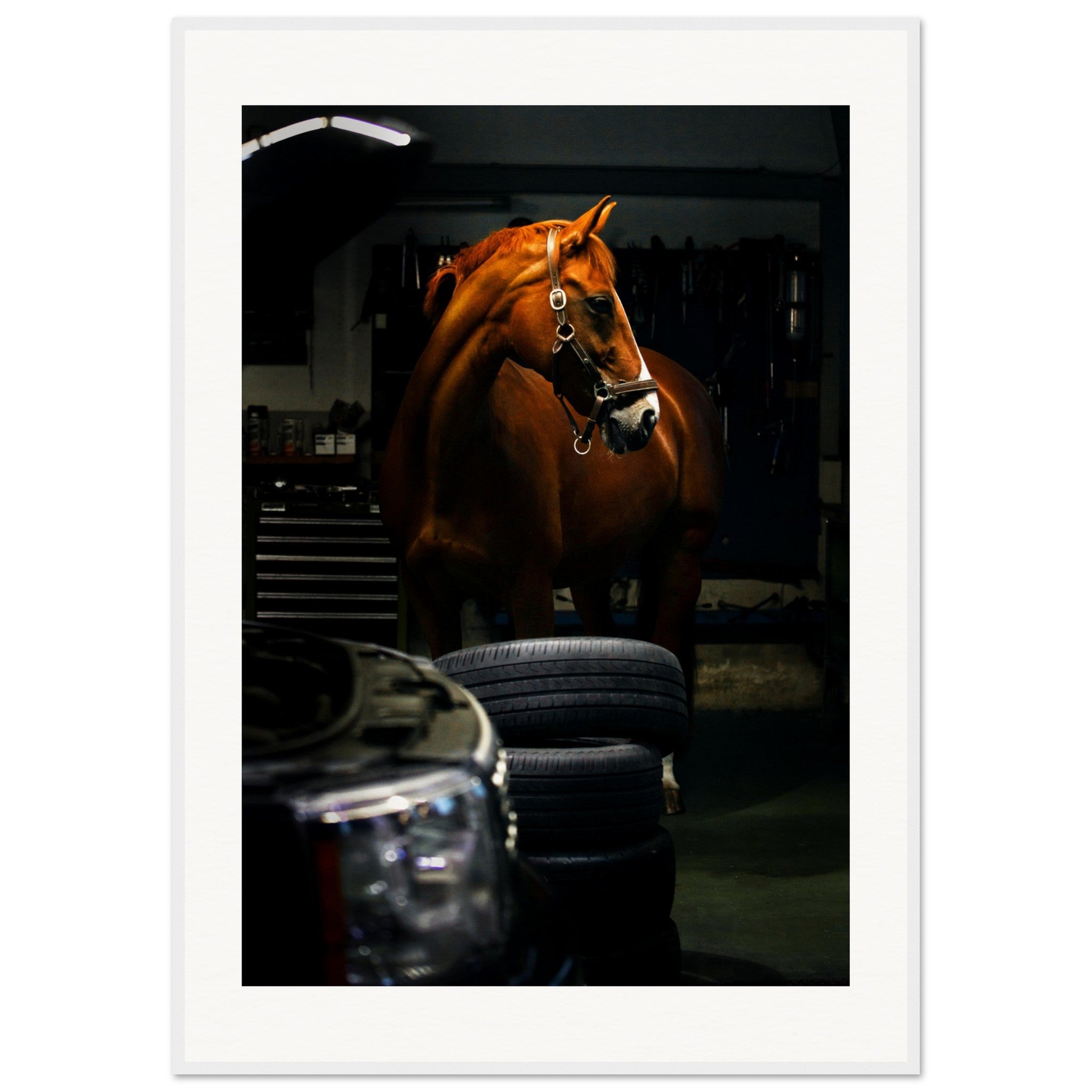 82d6cc59-674a-4a0b-a4d3-5ad1c422098a