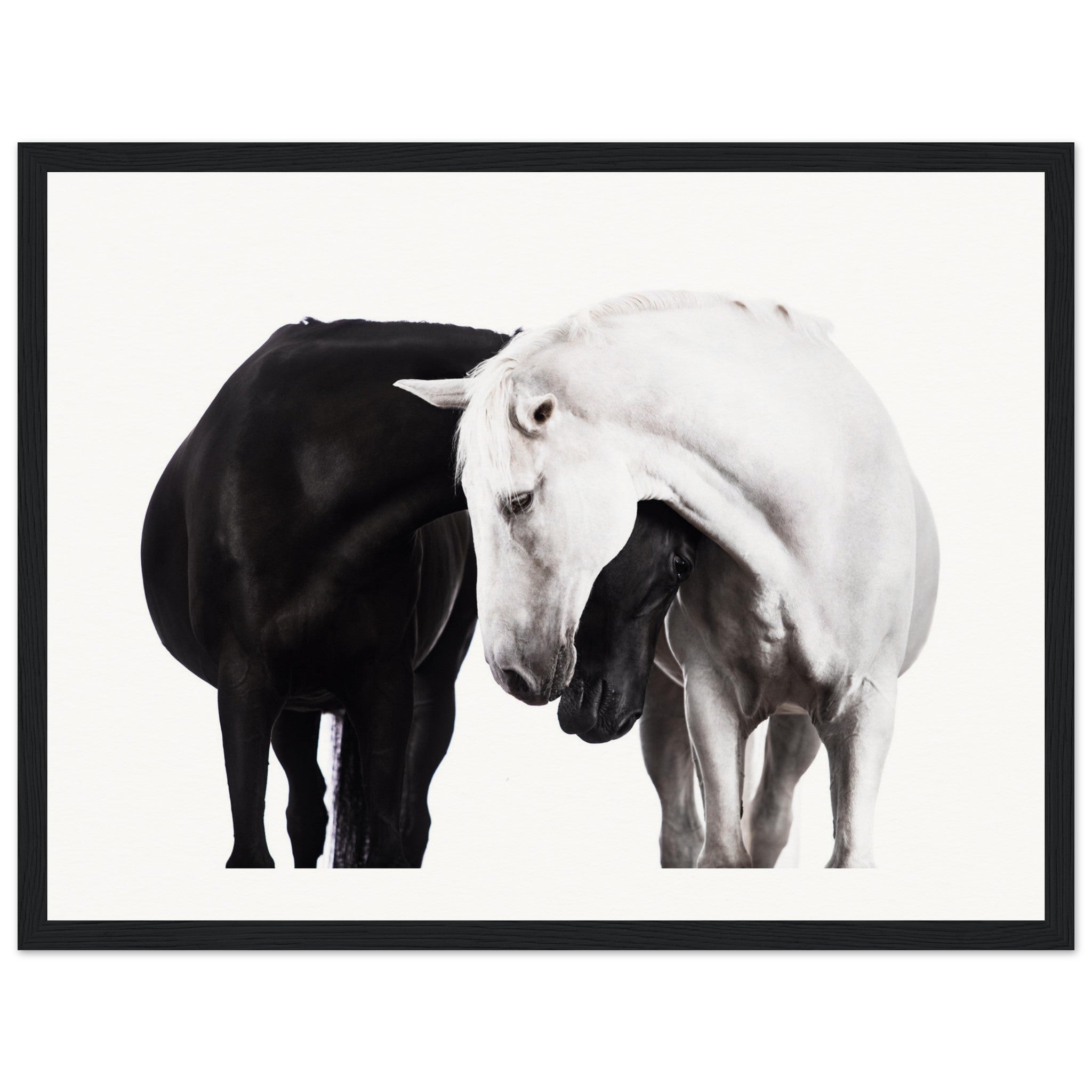 82f4e3e4-6eae-4c3c-9fec-83660e0377db