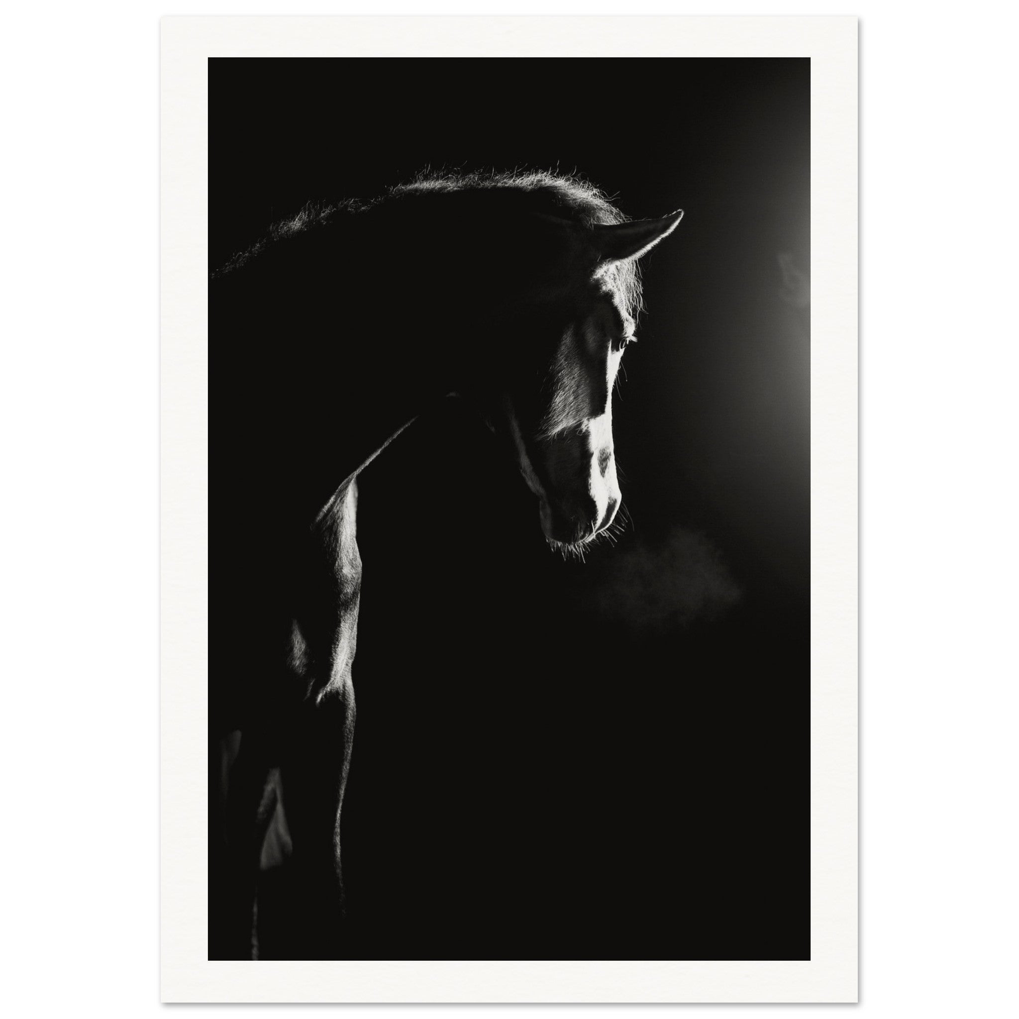 831ebdc4-7bf4-49ce-b3cf-35c7f0c00c11