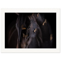 8332e3c5-2b58-46c9-aa14-d9c3ee4d31c6