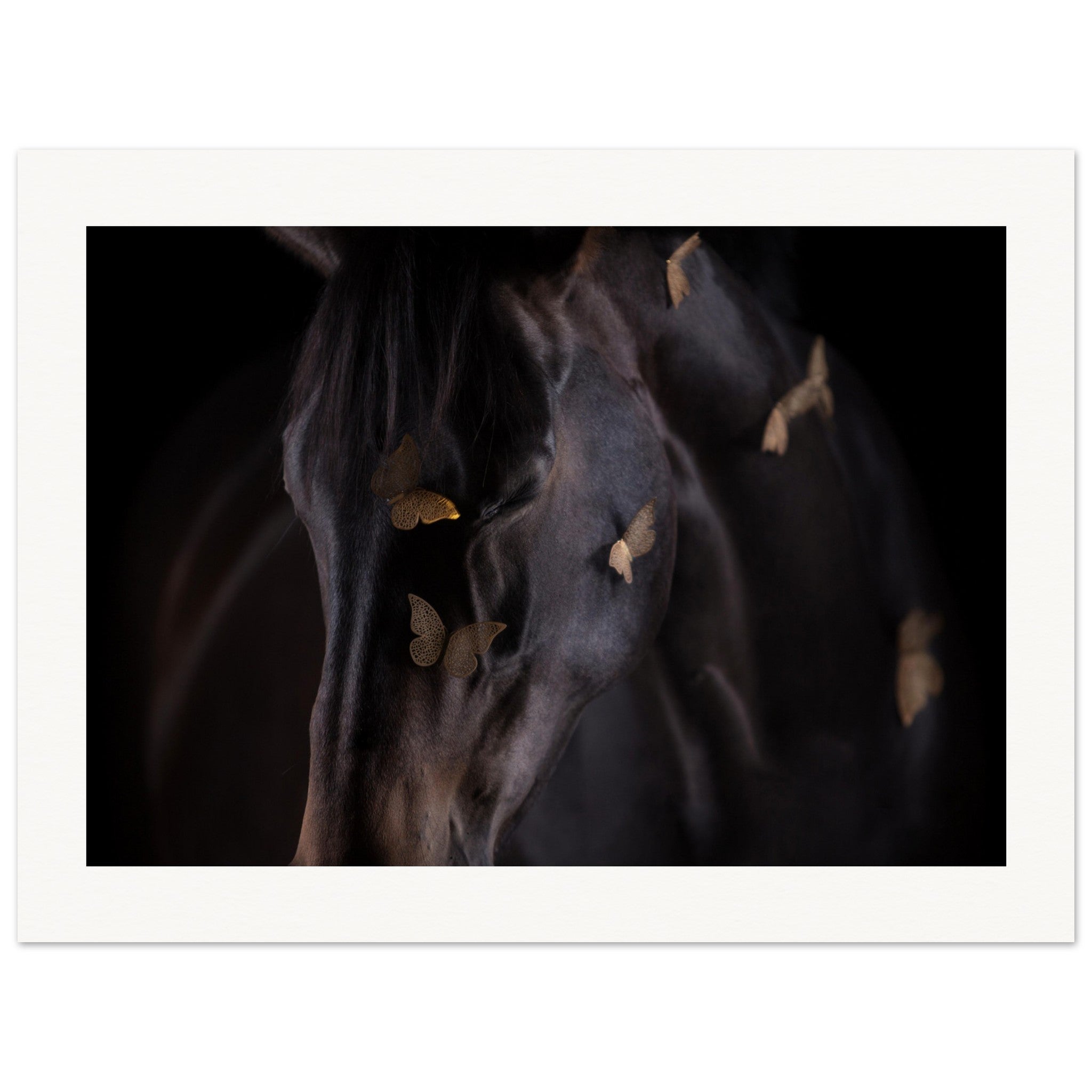 8332e3c5-2b58-46c9-aa14-d9c3ee4d31c6