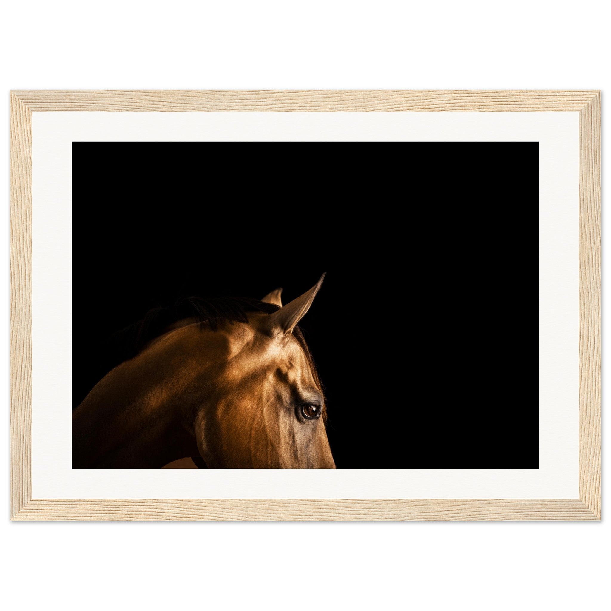 8336df56-e852-4137-a05c-a342dc1dc789