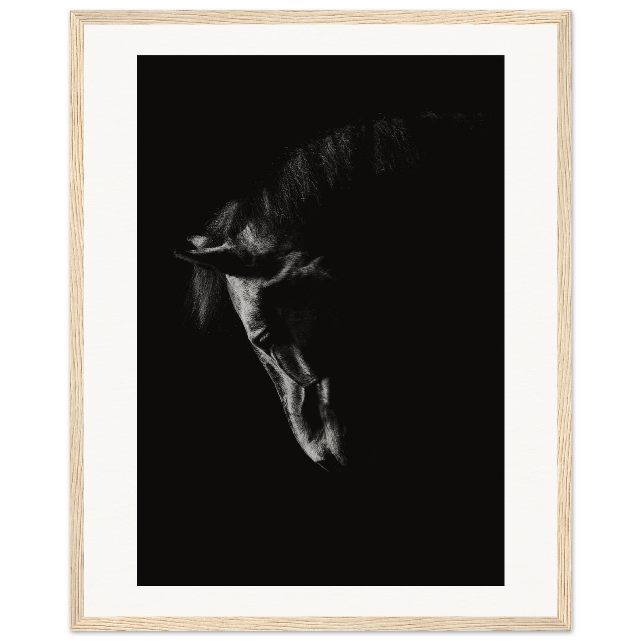 83473dec-846f-49ba-9dd2-f96422514535