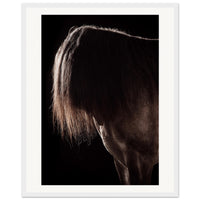 835cd79f-9bcd-44c0-a729-b16c20e20e5a