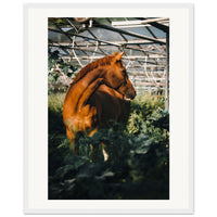 83711caa-887e-400a-ab80-2a176ba43bd9