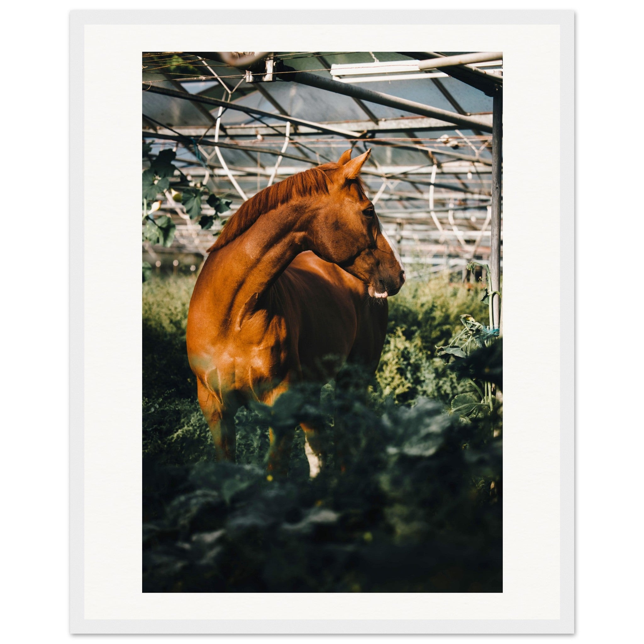 83711caa-887e-400a-ab80-2a176ba43bd9