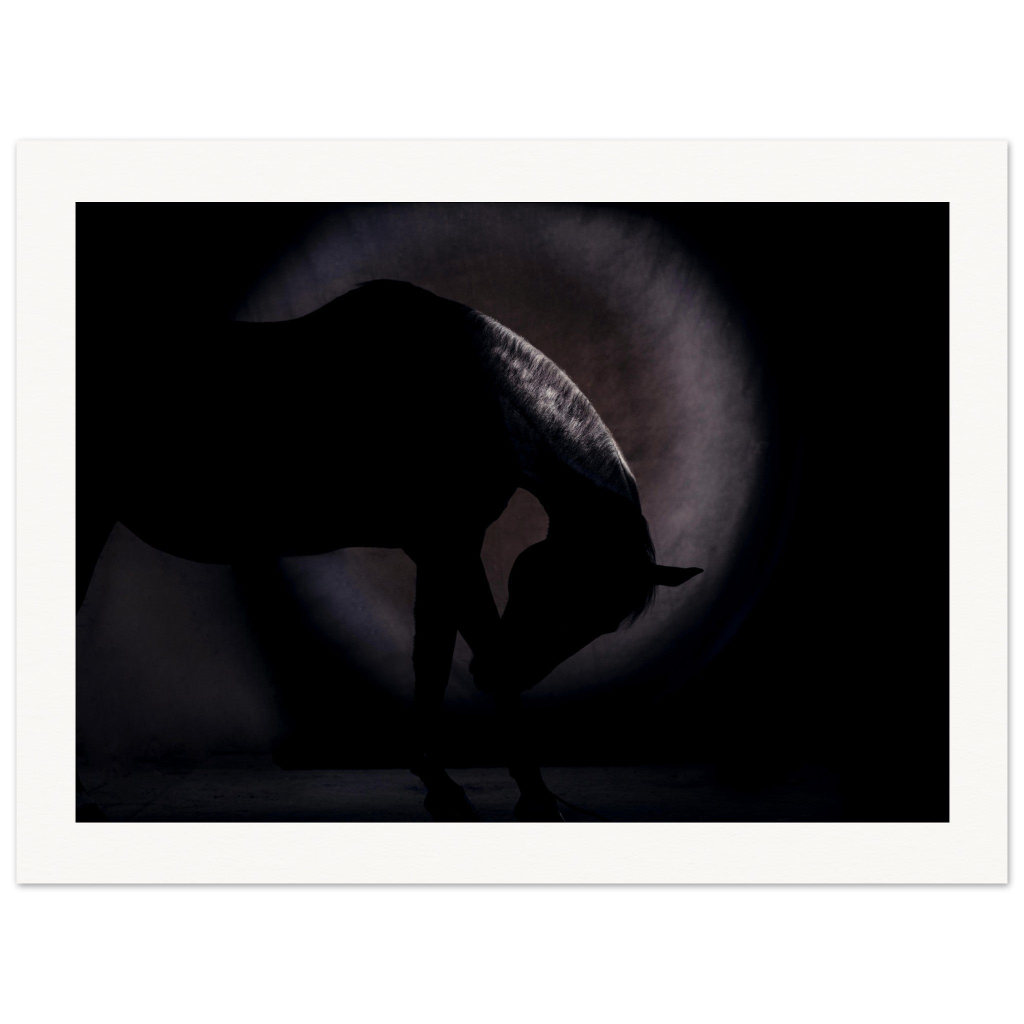 83b2d7dd-3380-4a77-b034-0e07f28bf81e