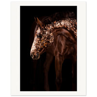 83b7d65e-2eb1-44ca-a69b-3b6e36b3f91c