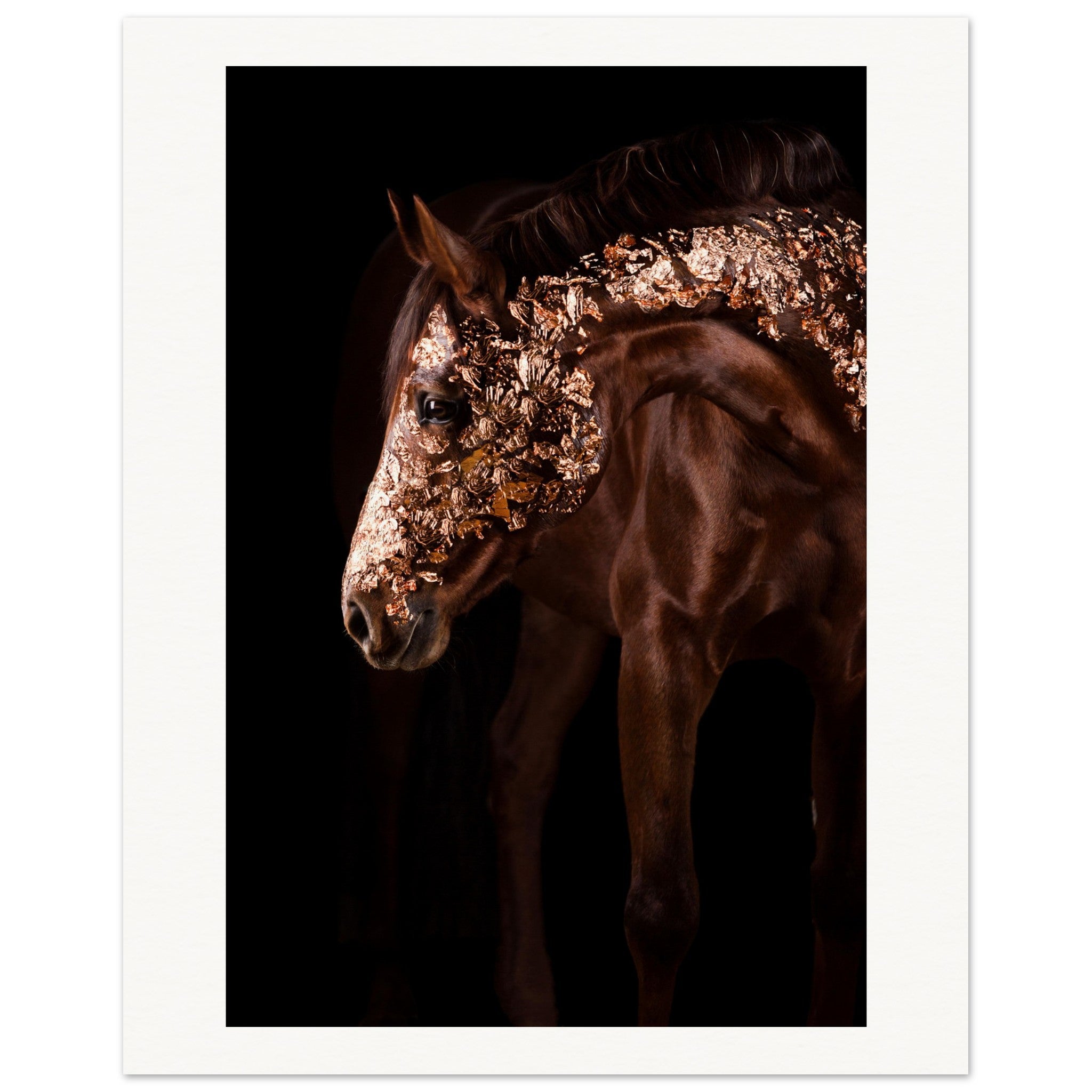 83b7d65e-2eb1-44ca-a69b-3b6e36b3f91c