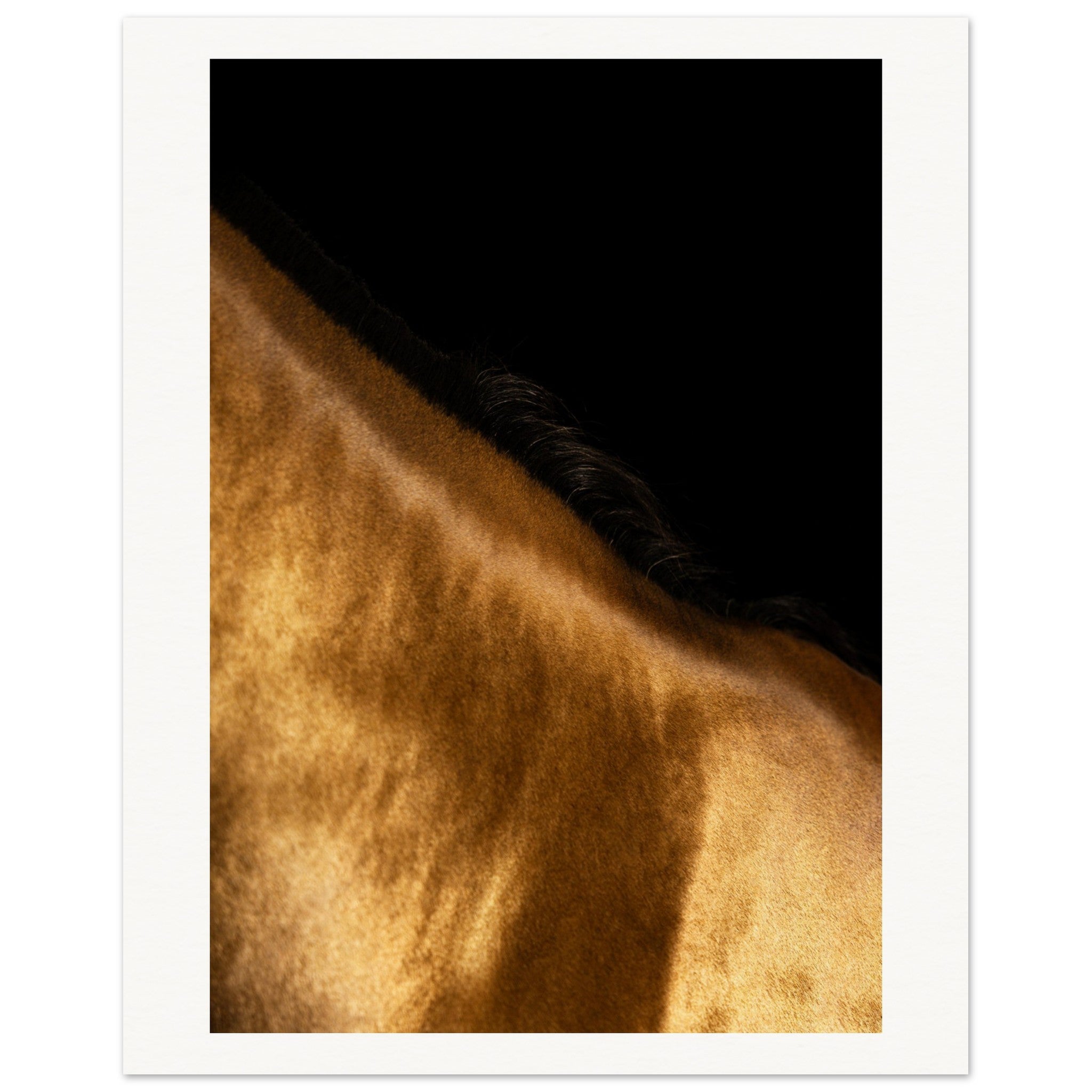 83b9d6ca-9f7f-4990-87be-73d876cf2566