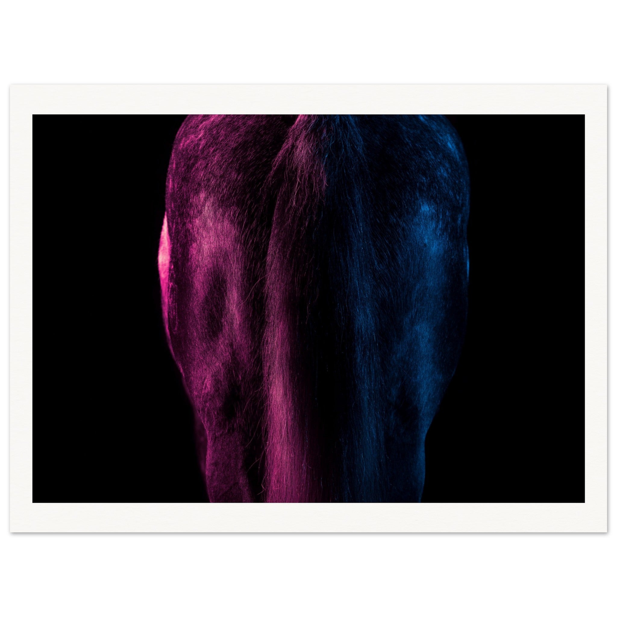 83c90951-7aab-45cf-aec8-9e1f42b8afaf