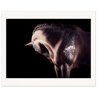 83e6df35-6b72-4c0e-a4f5-03d6926ec014