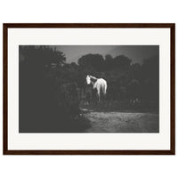 843406bb-e041-4783-8e33-6bc21a97d68c