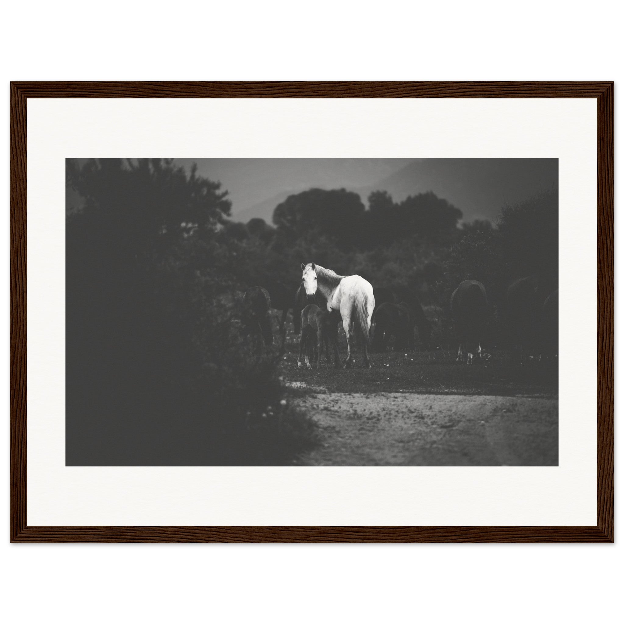 843406bb-e041-4783-8e33-6bc21a97d68c