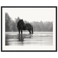 8475ab17-9c11-40a3-a57f-d15c38f08d33