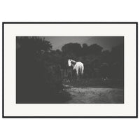 847b7f02-8952-46e0-b6ed-1f3165afe34e