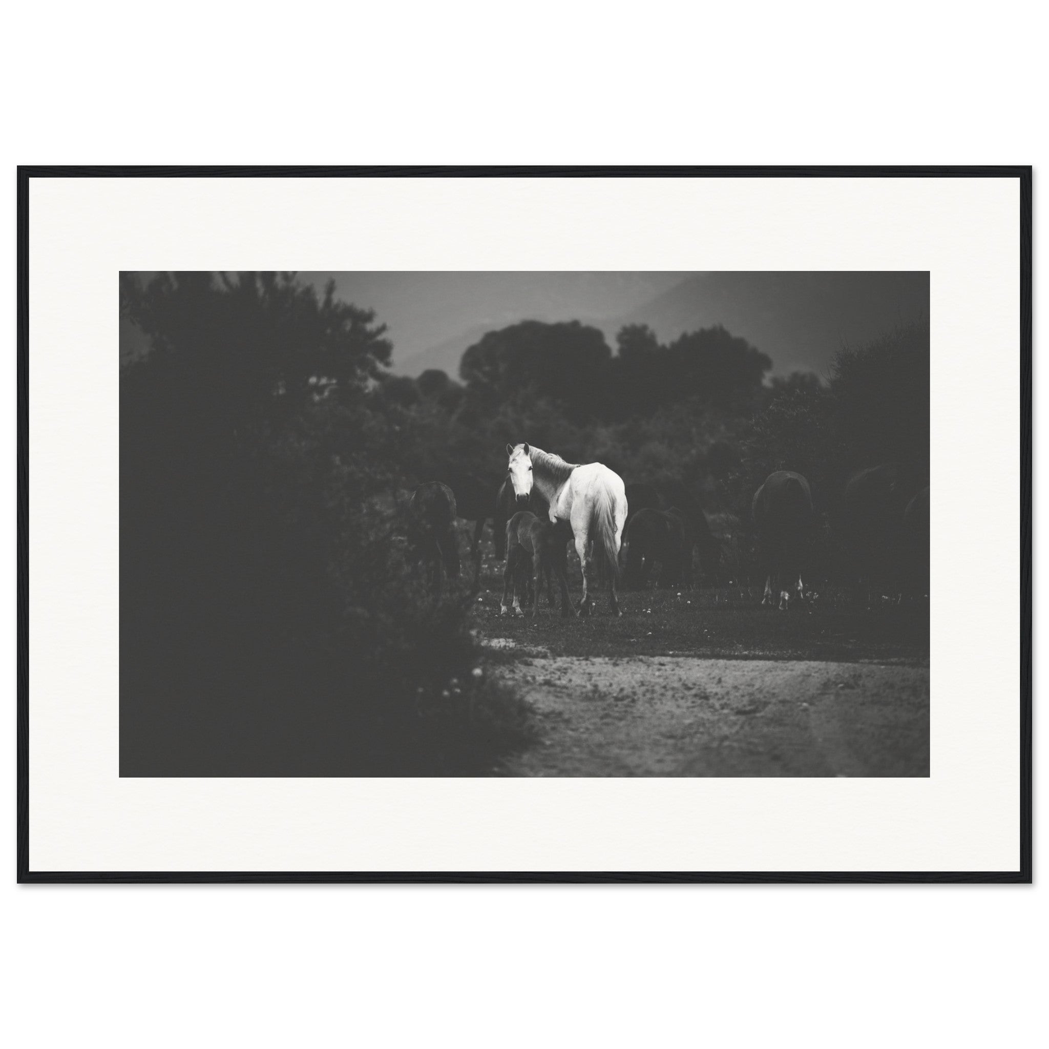 847b7f02-8952-46e0-b6ed-1f3165afe34e