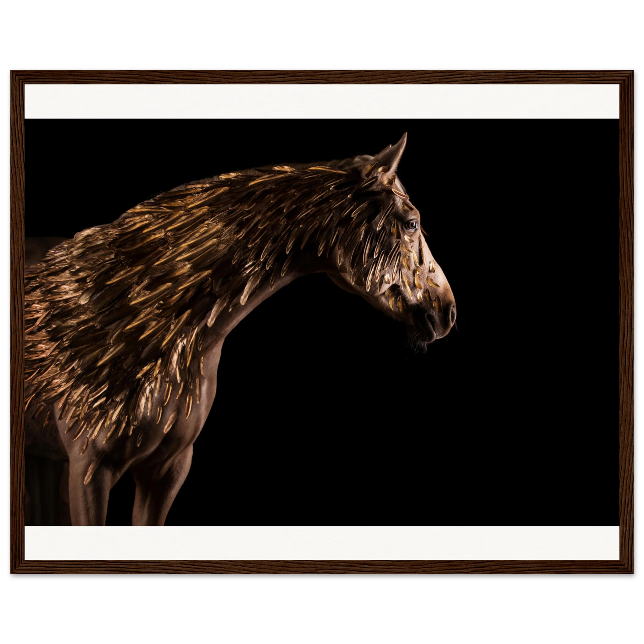 848b2fe9-3e63-4f34-b16b-958dc586f147