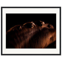 8490e5dc-14e6-49eb-8386-0fc55820d4d6