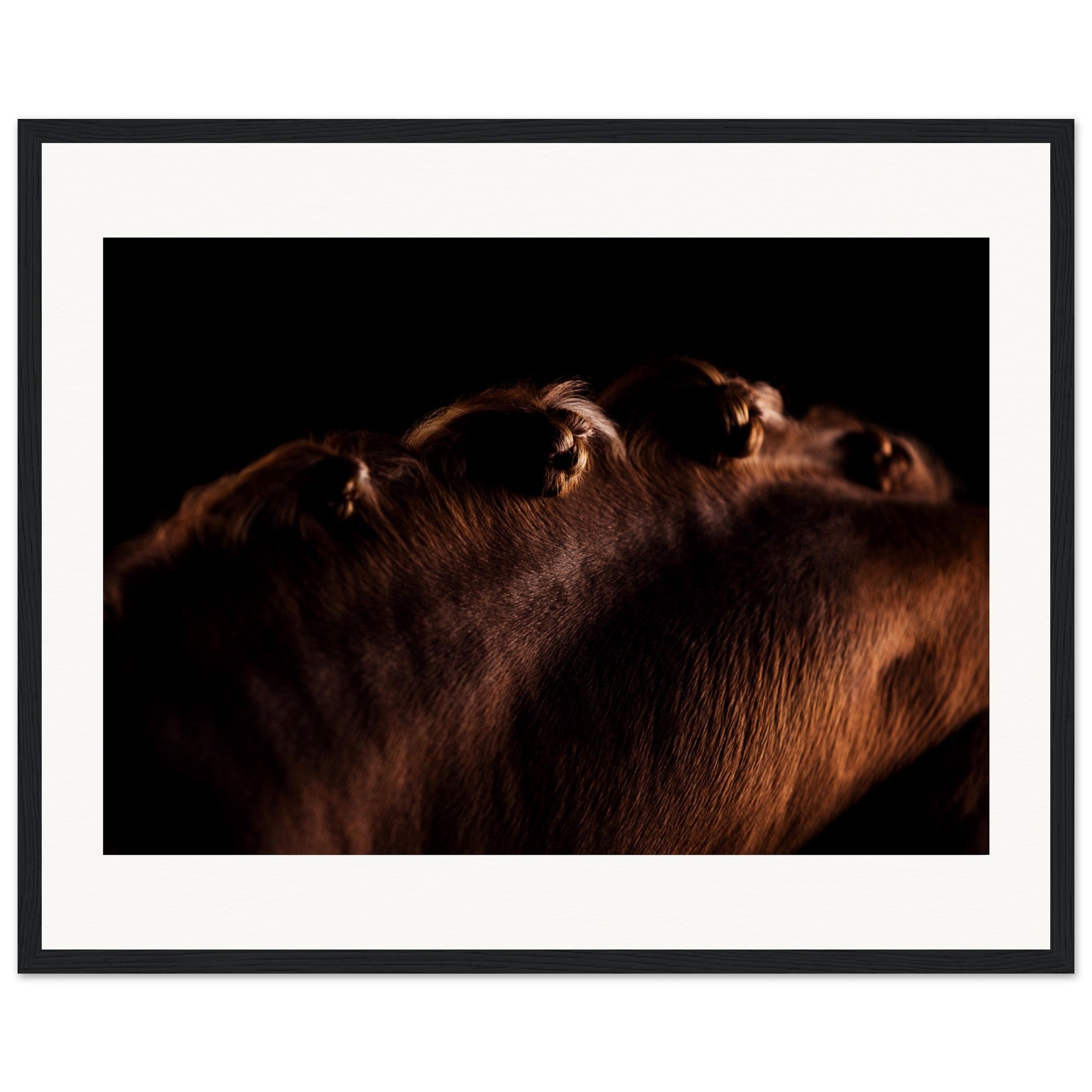 8490e5dc-14e6-49eb-8386-0fc55820d4d6