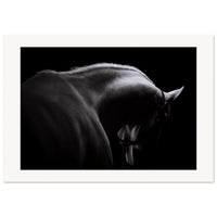 84b059b9-8126-45d7-bfea-b0a7dfdca5d4