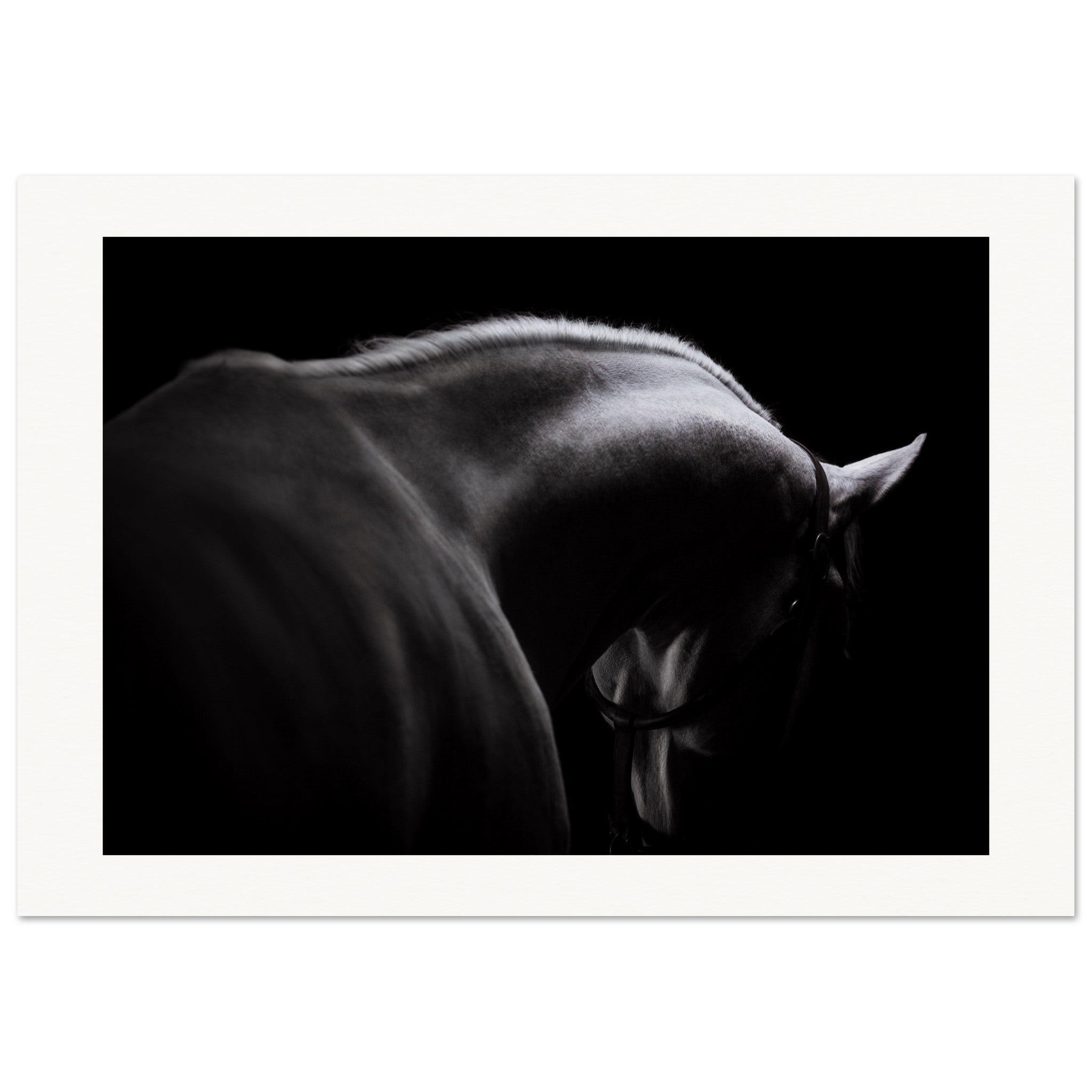 84b059b9-8126-45d7-bfea-b0a7dfdca5d4