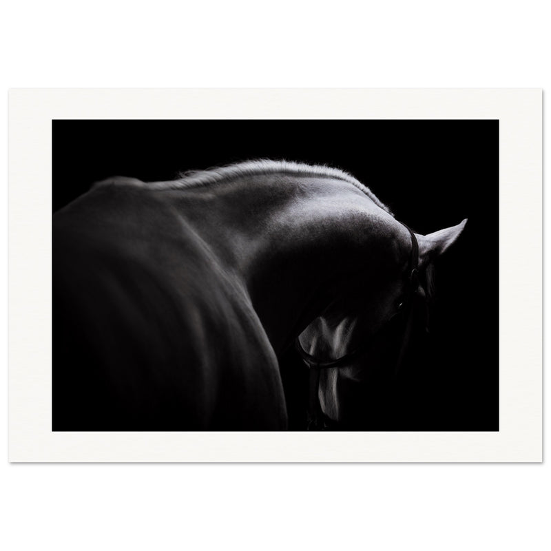 84b059b9-8126-45d7-bfea-b0a7dfdca5d4