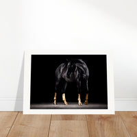 84b9b0ab-c660-4004-bb5c-516351d73240