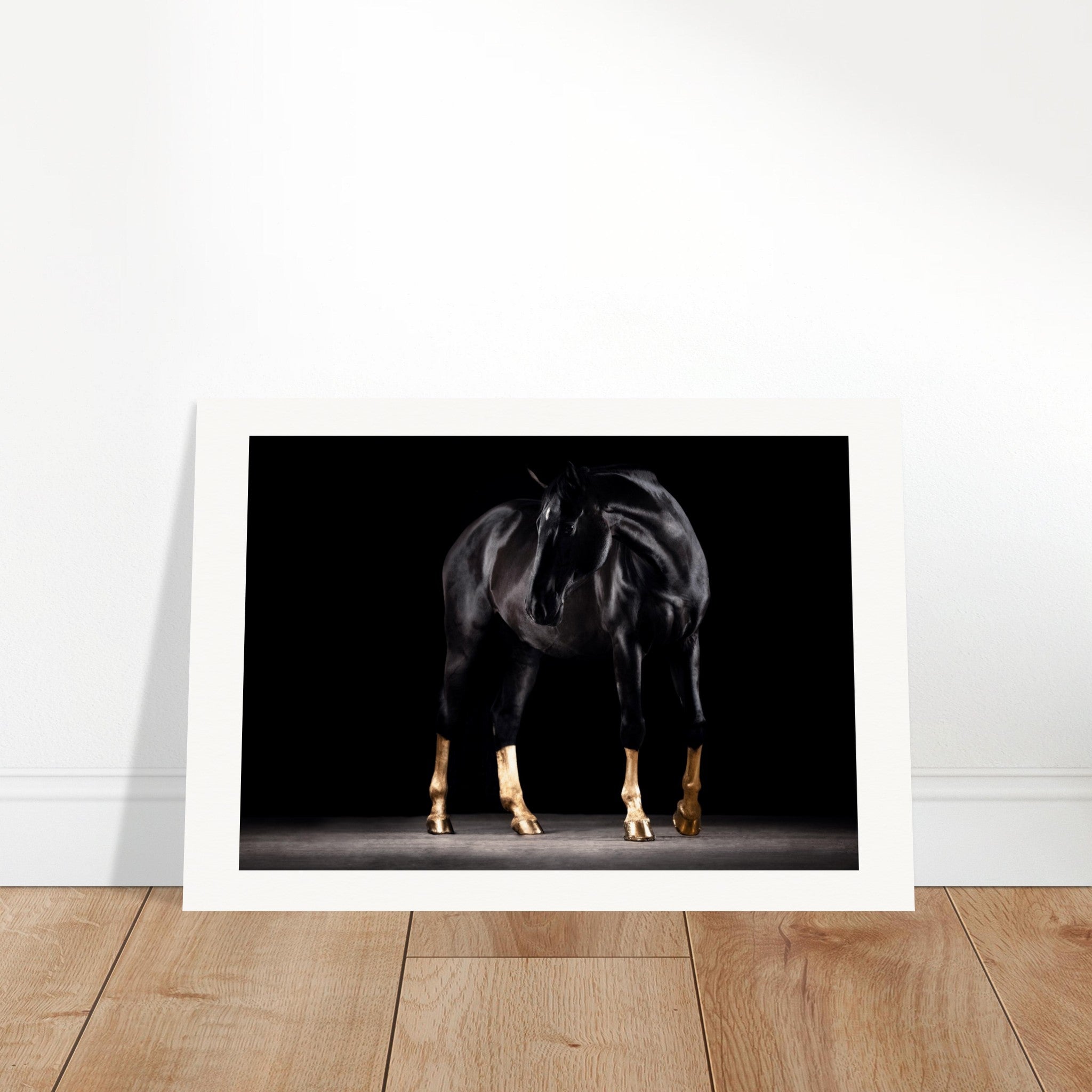 84b9b0ab-c660-4004-bb5c-516351d73240