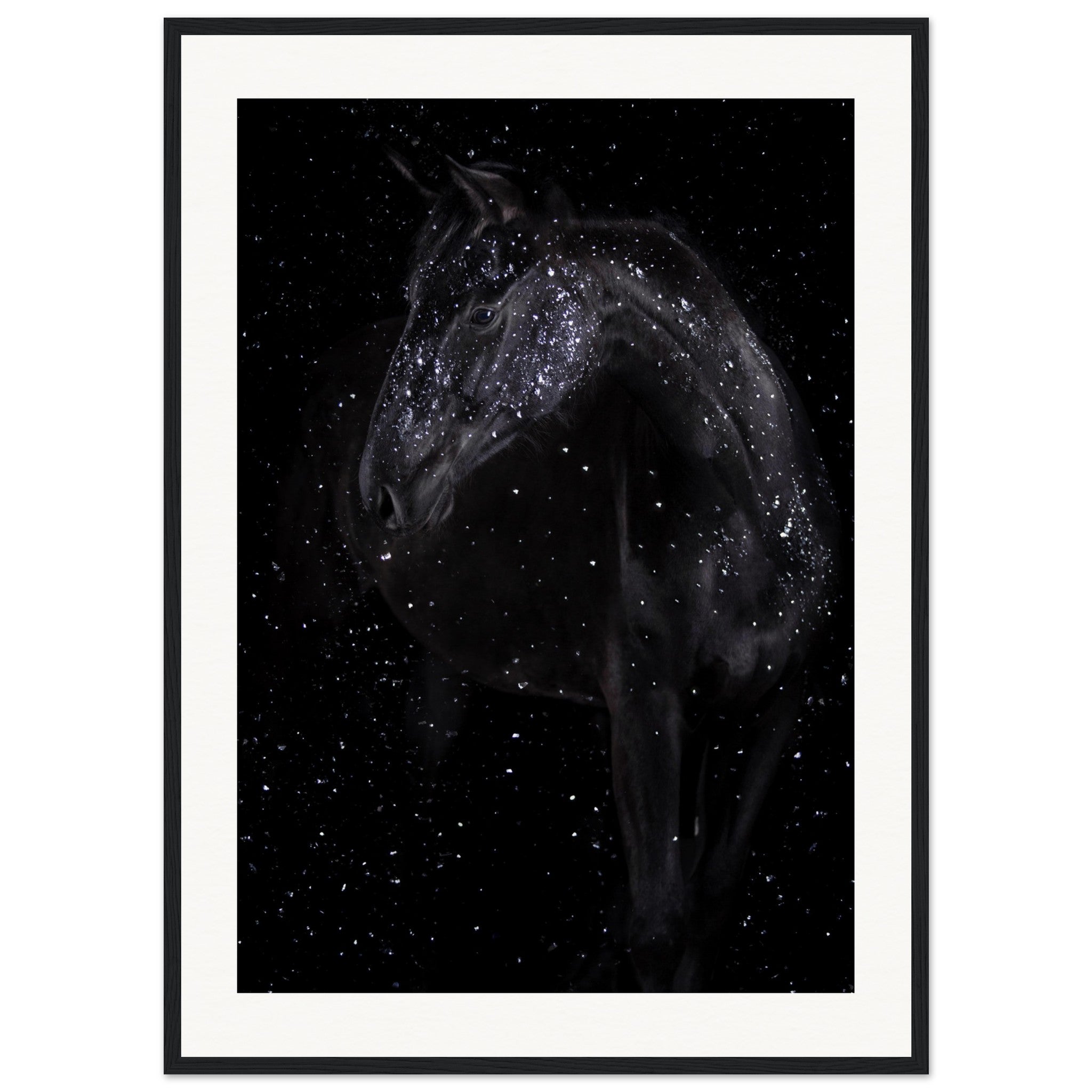 84c3029f-0de2-472e-9431-564d63c3cf07