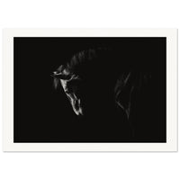 84caca04-5de8-4cc9-9de6-b91643f51bd0