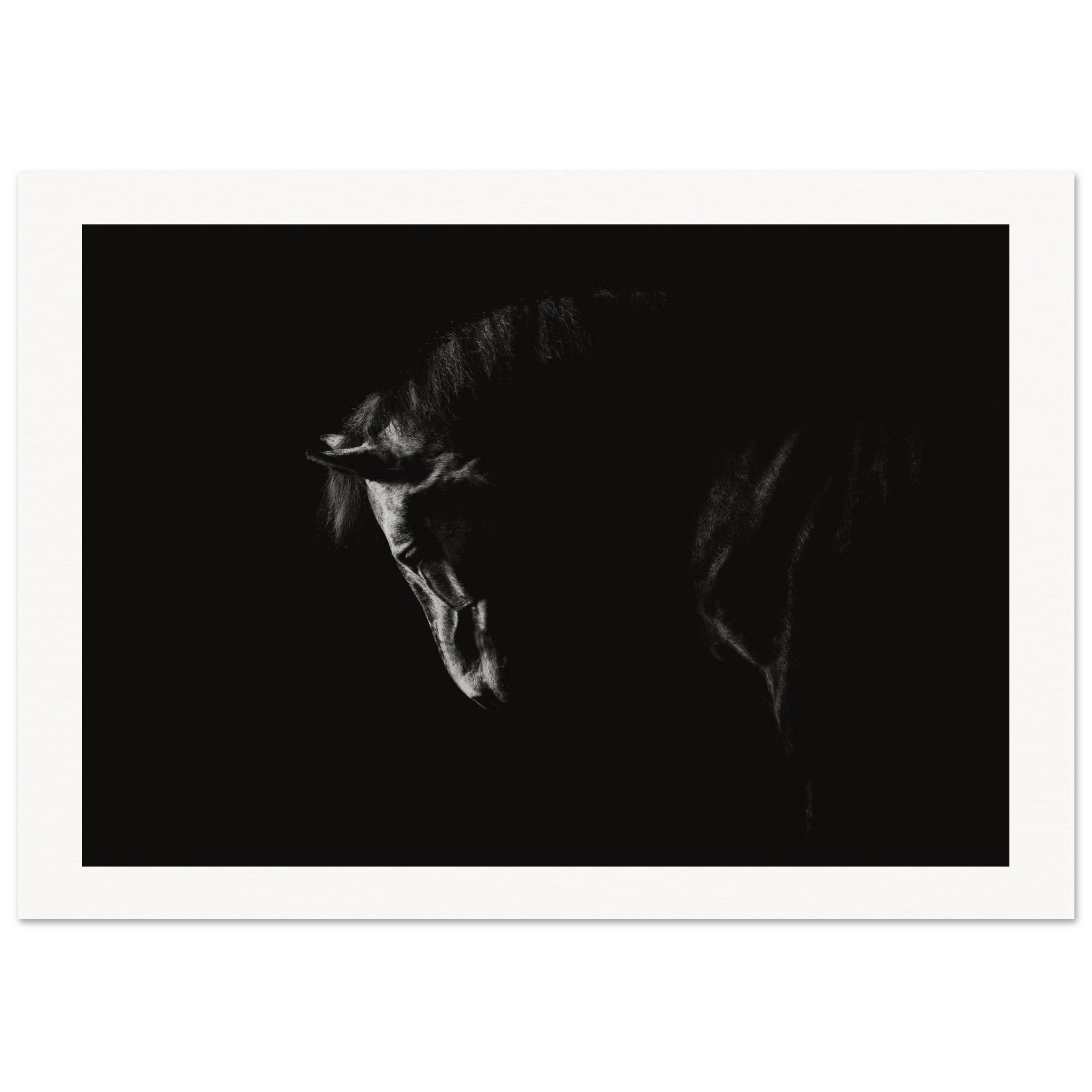 84caca04-5de8-4cc9-9de6-b91643f51bd0