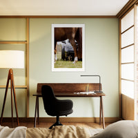 85269a9b-f553-4c28-a32b-6c8cc4c22f36