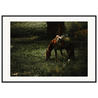 8540aadd-25b0-419c-b422-efc2d0421eaa