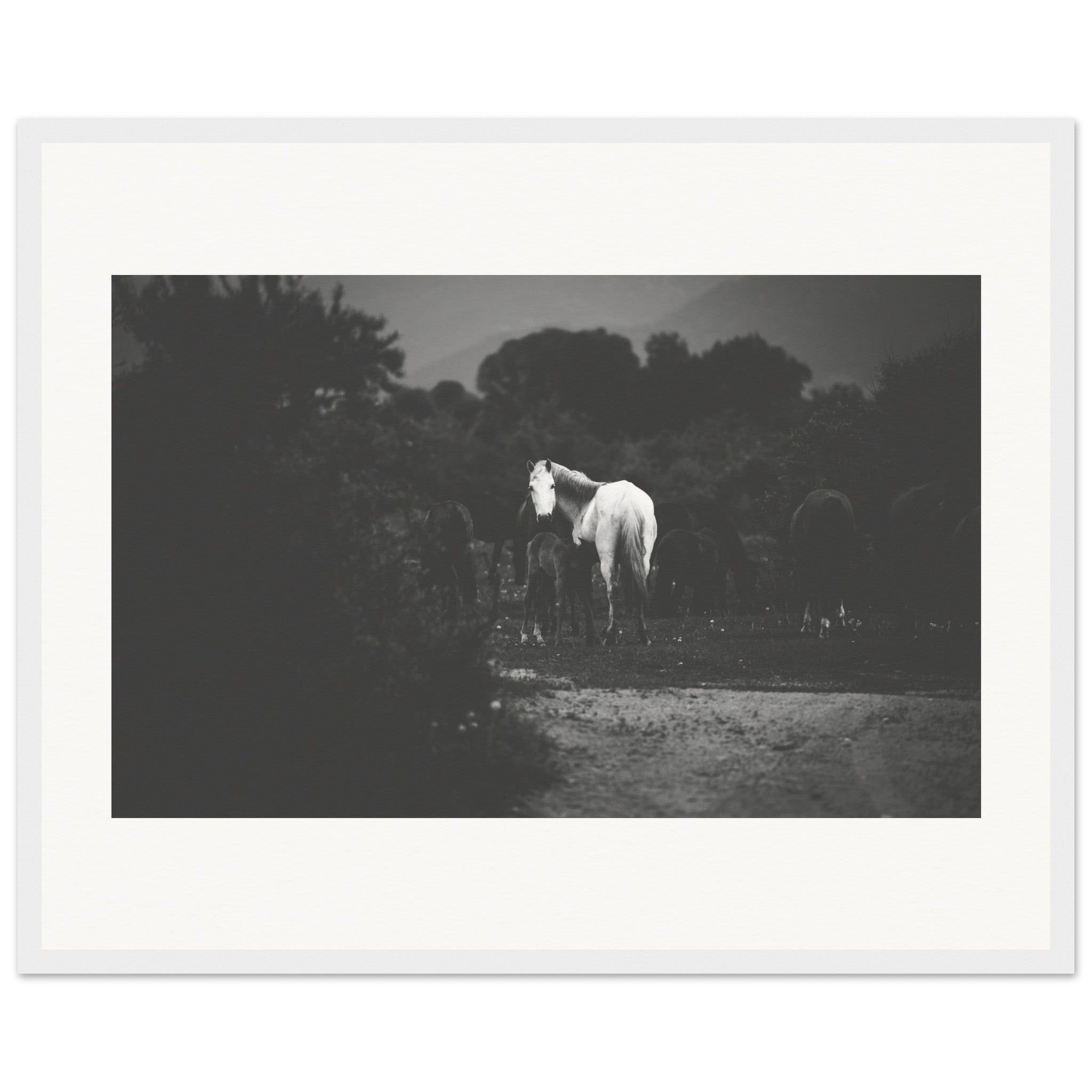 85c72d9b-0b7d-415f-a0a7-219329ab362d