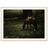 863856cb-2e9c-4eee-b1fd-ba4db6e6e48e