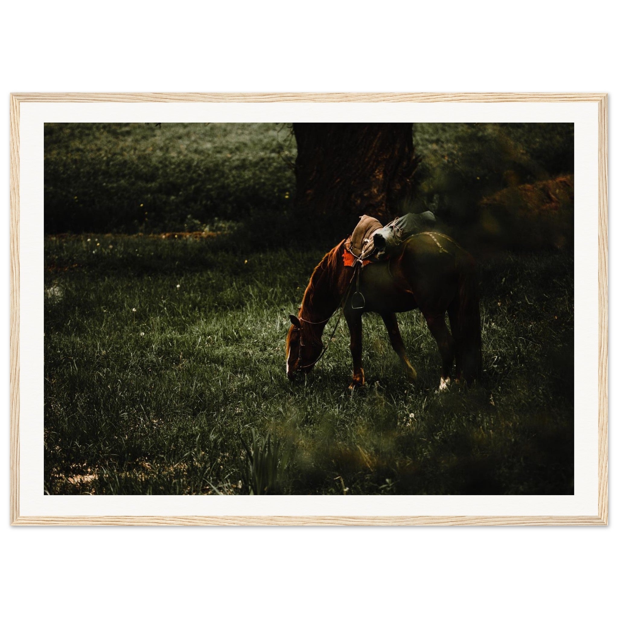 863856cb-2e9c-4eee-b1fd-ba4db6e6e48e