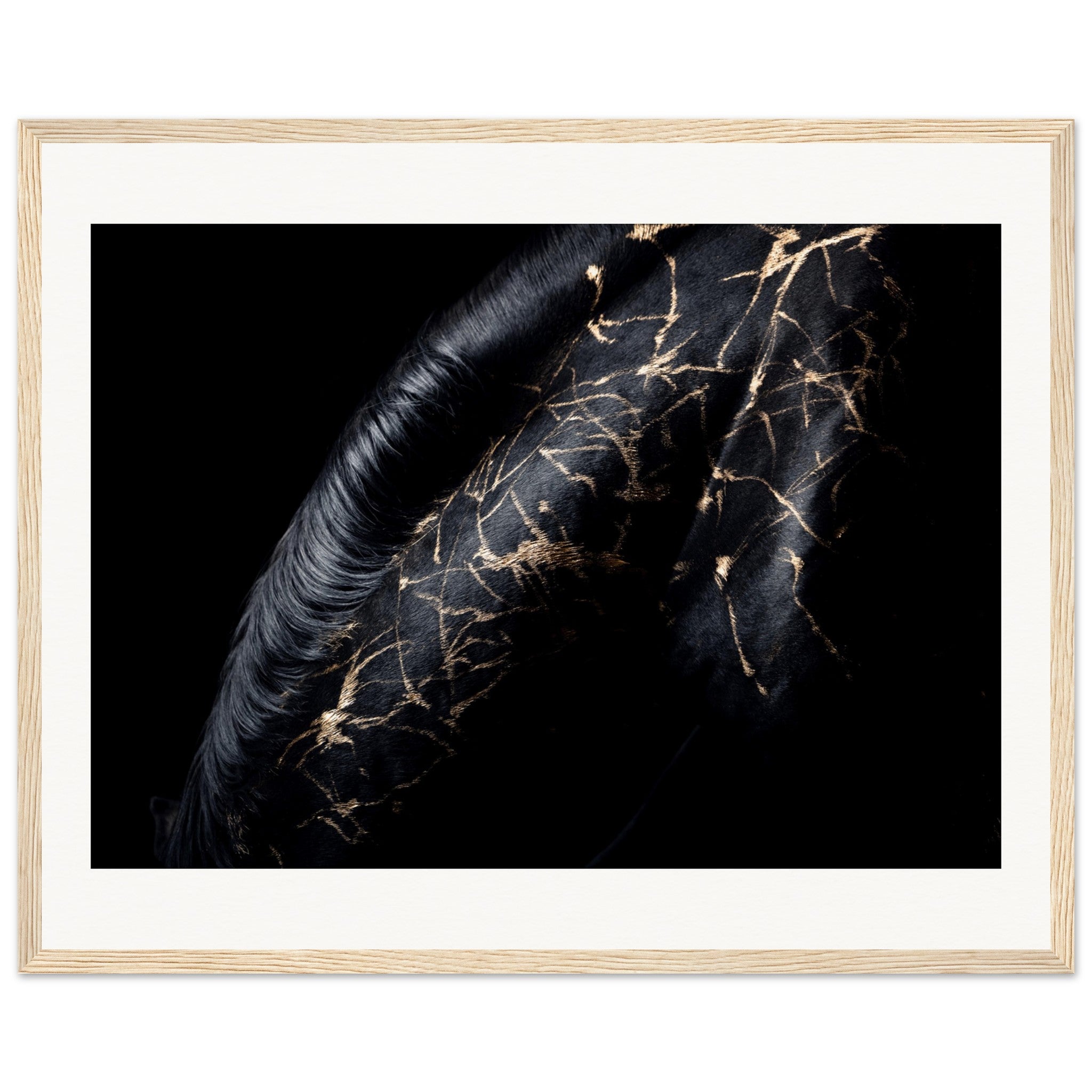 8645bc25-1082-4703-a1dc-9c37ccb0961e