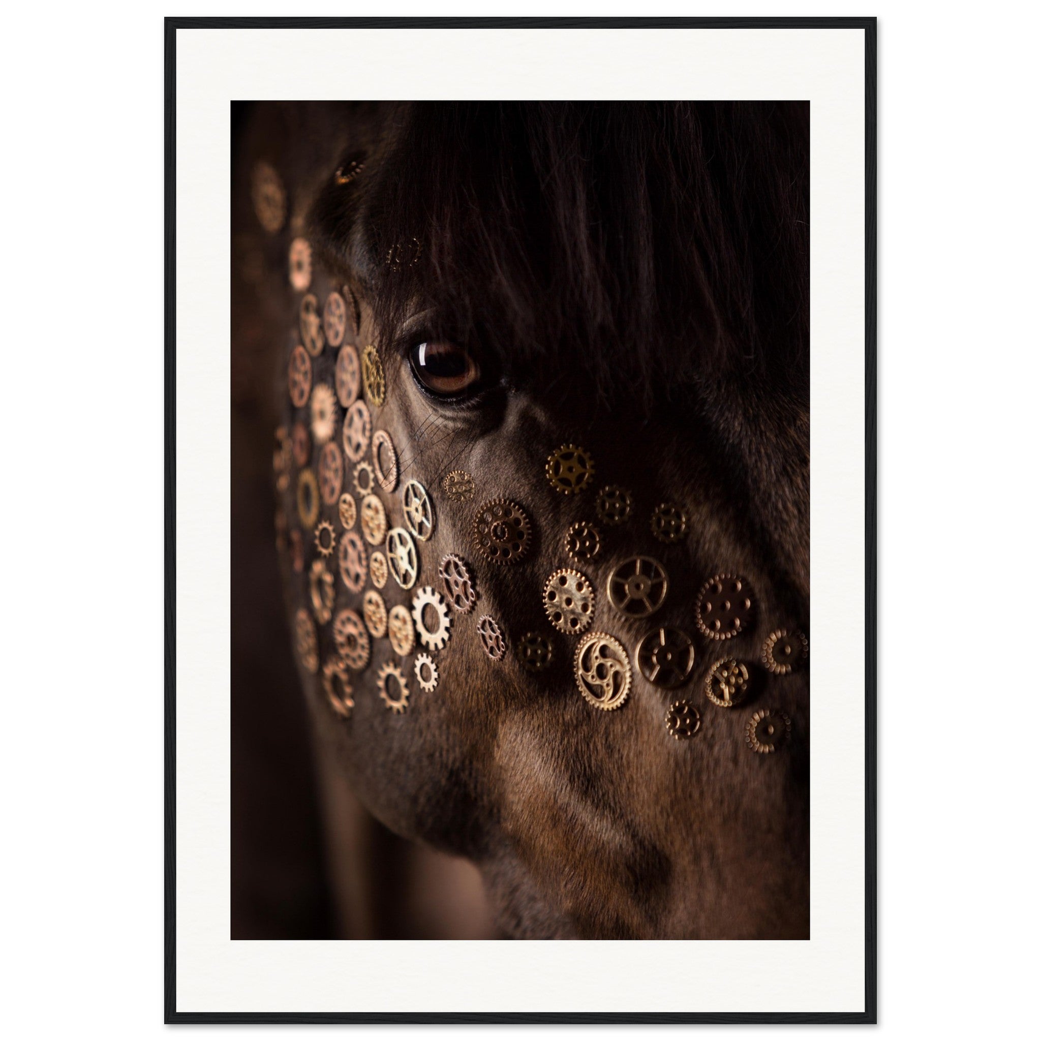 86ca053d-25ff-4311-b478-3b51b7a4b811