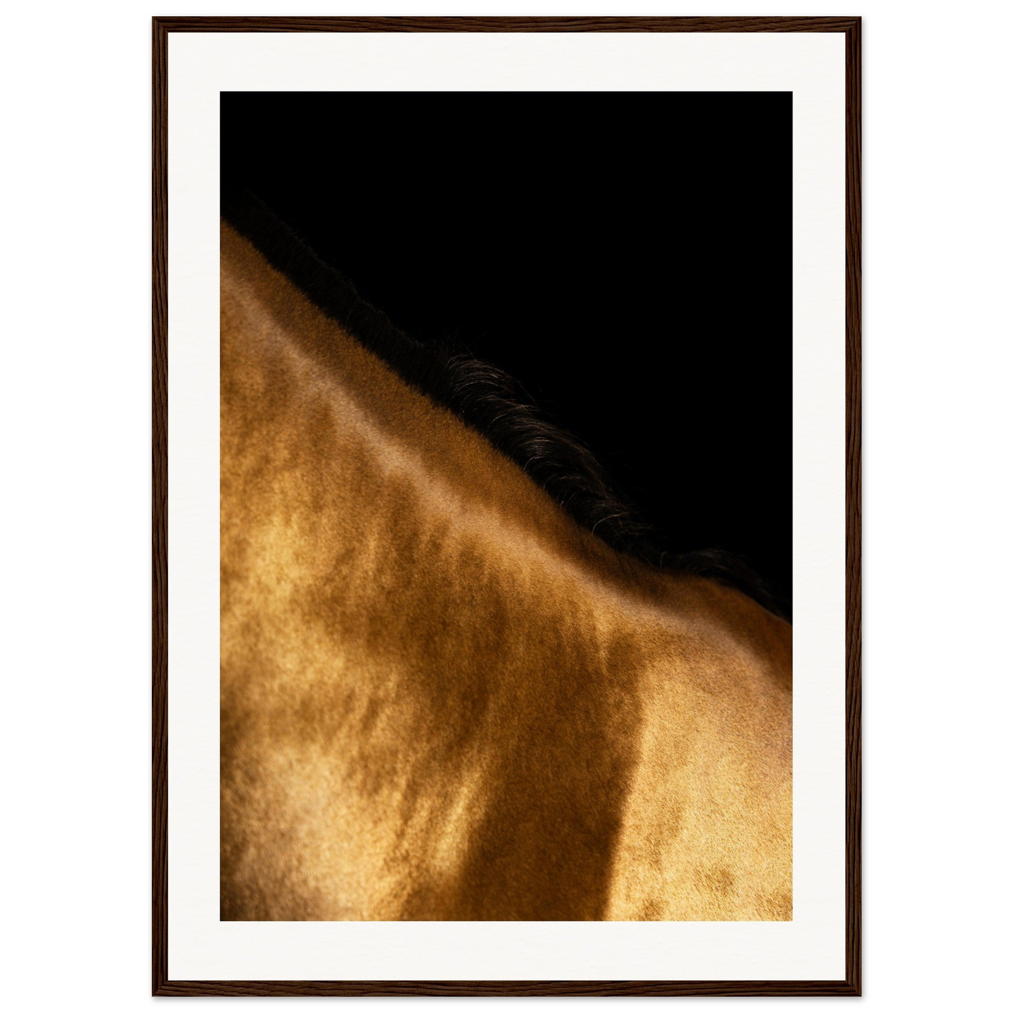 86e7ecc6-e299-4369-a49d-fa54623eea2b