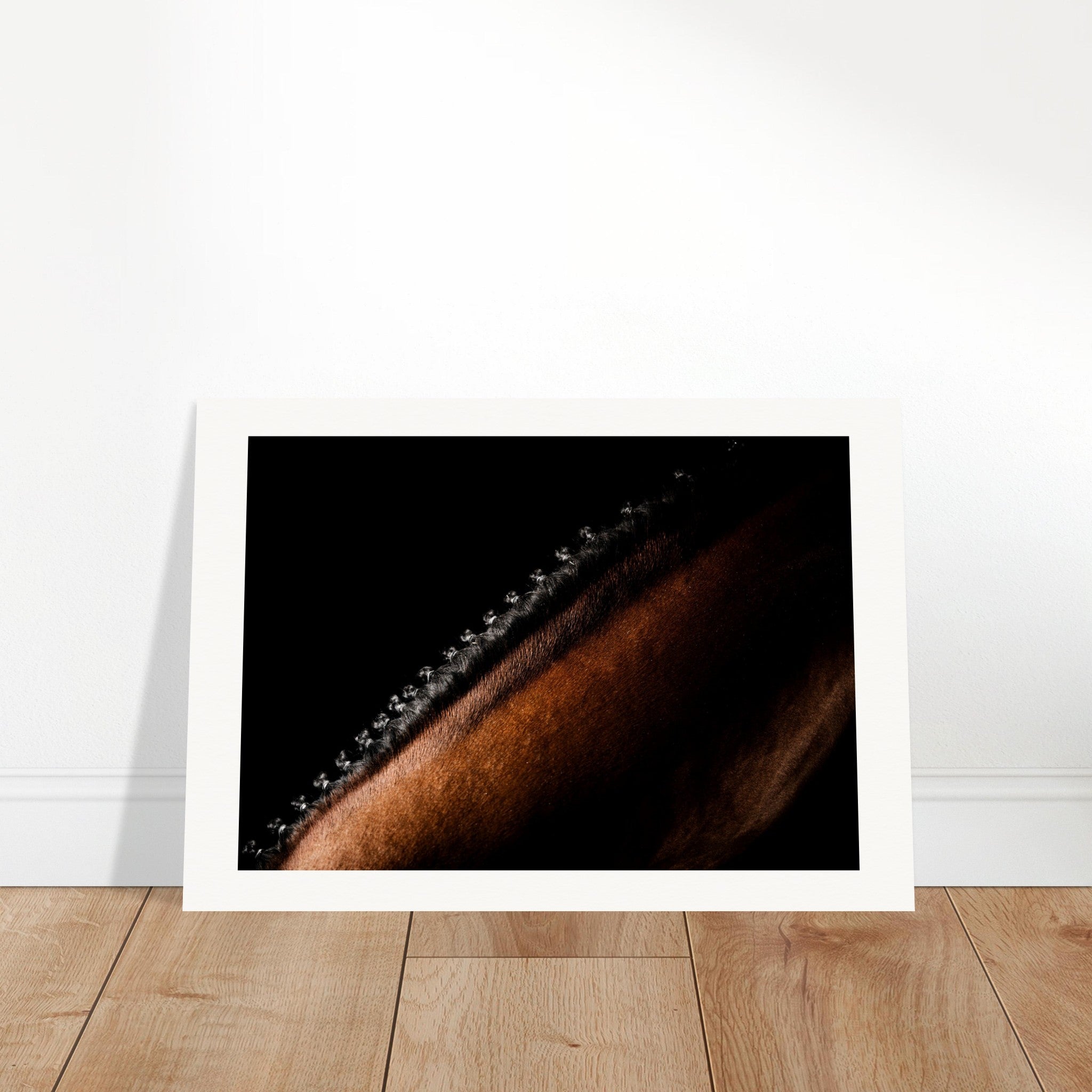 86ef8557-62f4-4615-a939-80956405b5fd