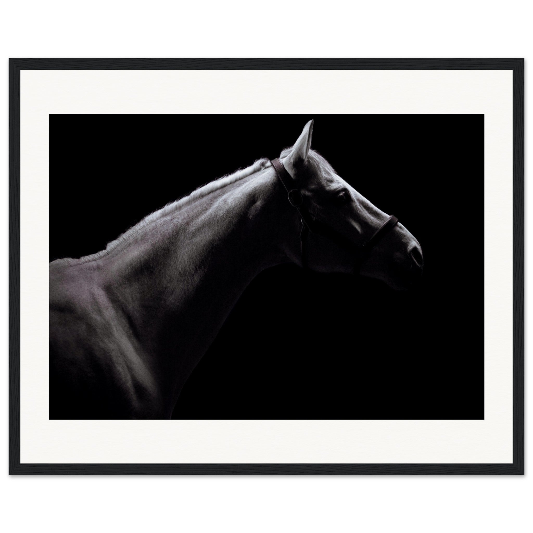 873a7606-ef04-45b7-b1fa-ce1931264113