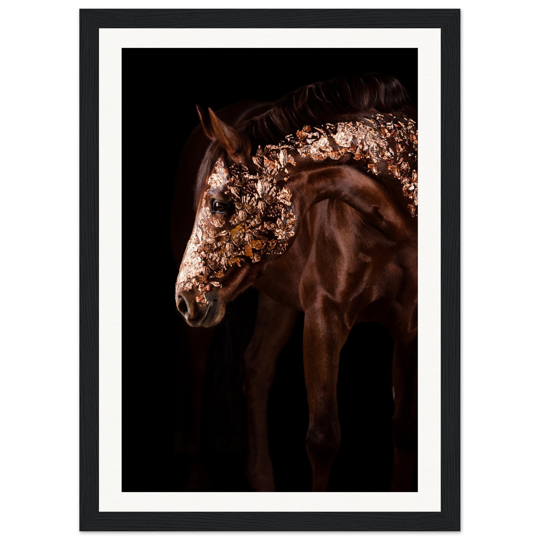 8759fb65-819e-4e60-a481-d5dd725f3ffb