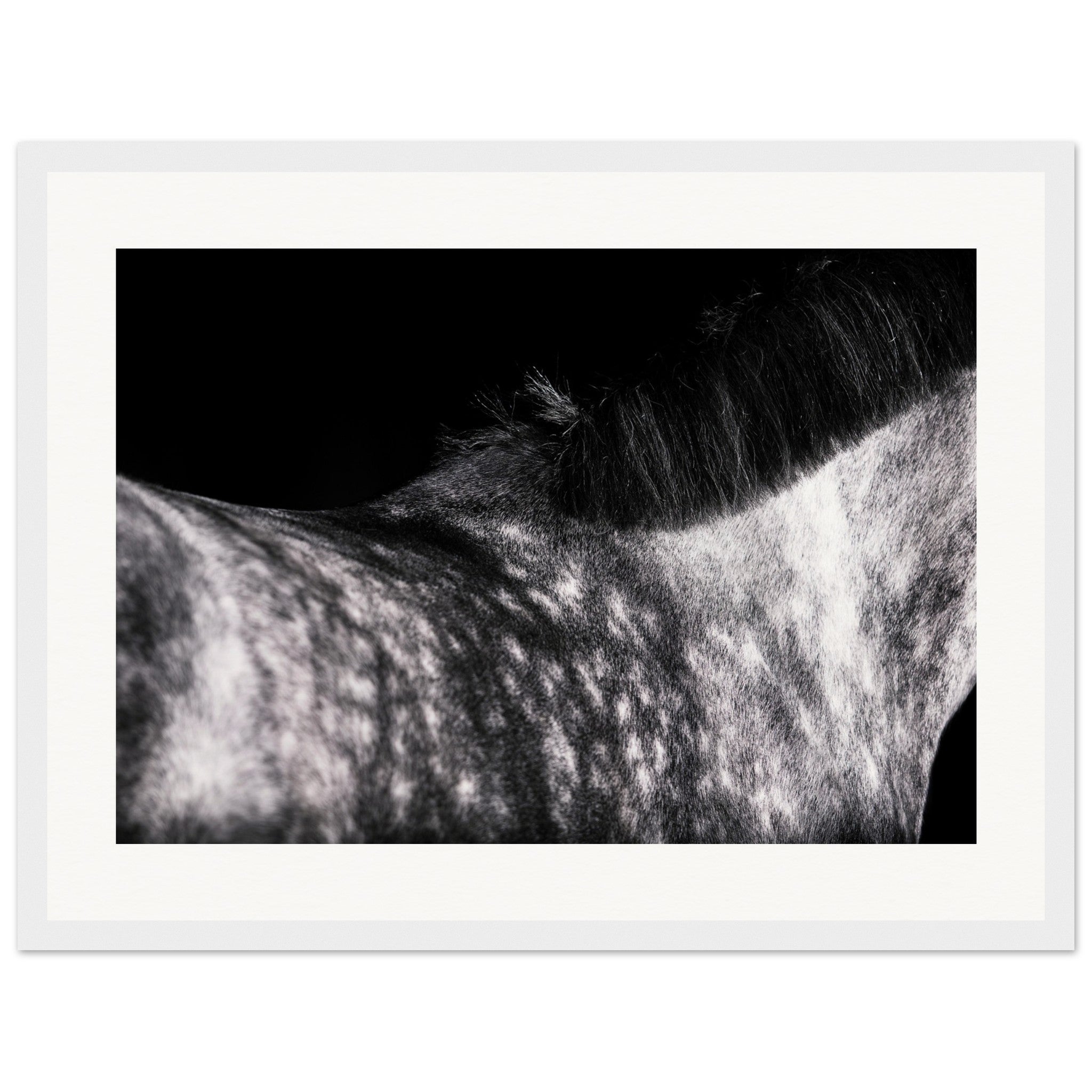 875f7892-2720-4da8-86a3-a0aab2b972e5