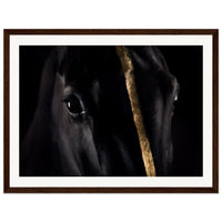 8792a8eb-c623-4999-8d18-f1f826d0eaec